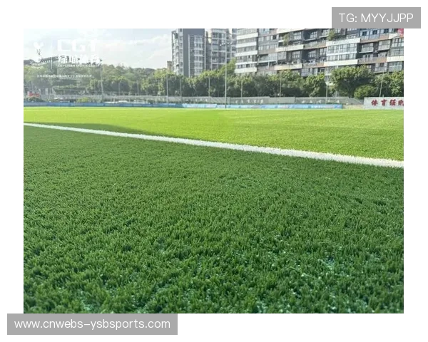 粤港澳三地场馆改造率超90%,不新建大型场馆践行绿色理念 粤港澳三地场馆改造率超90%,不新建大型场馆践行绿色理念